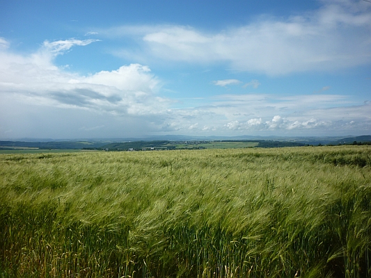 Panoramablick auf Felder und Wälder - Foto: © 2013 by Schattenblick