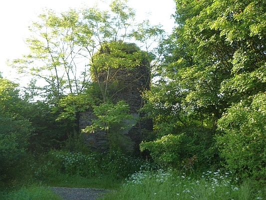 Überwucherter Turm der historischen Burg Waldeck - Foto: © 2013 by Schattenblick